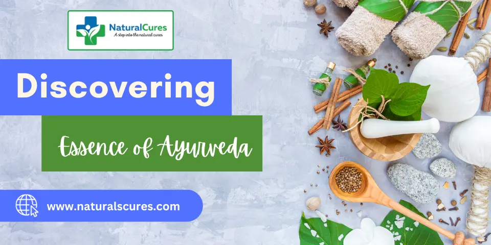 Discovering the Essence of Ayurveda_ A Holistic Journey to Wellness in Ghaziabad